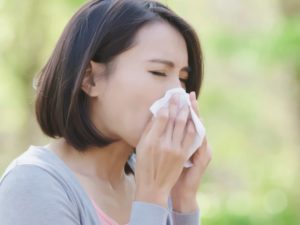 Heuschnupfen Wetter - das sollte man als Pollen - Allergiker wissen